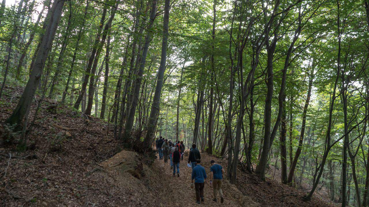 nel-bosco-di-santa-cristina